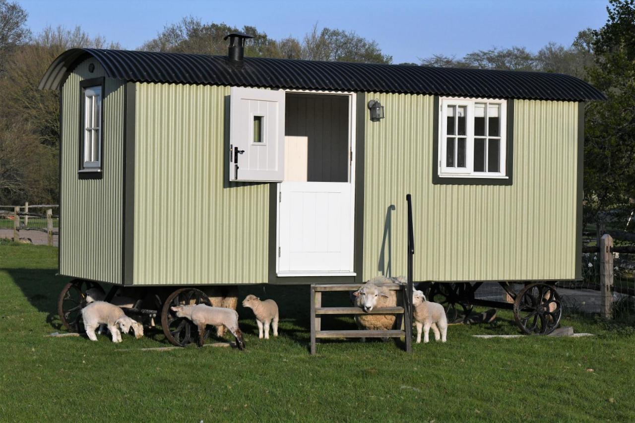 Farm stay Shepherds Hut Tenterden